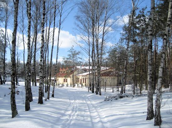 Zajazd Borowik Ostroleka (Ostroleka) Exterior foto